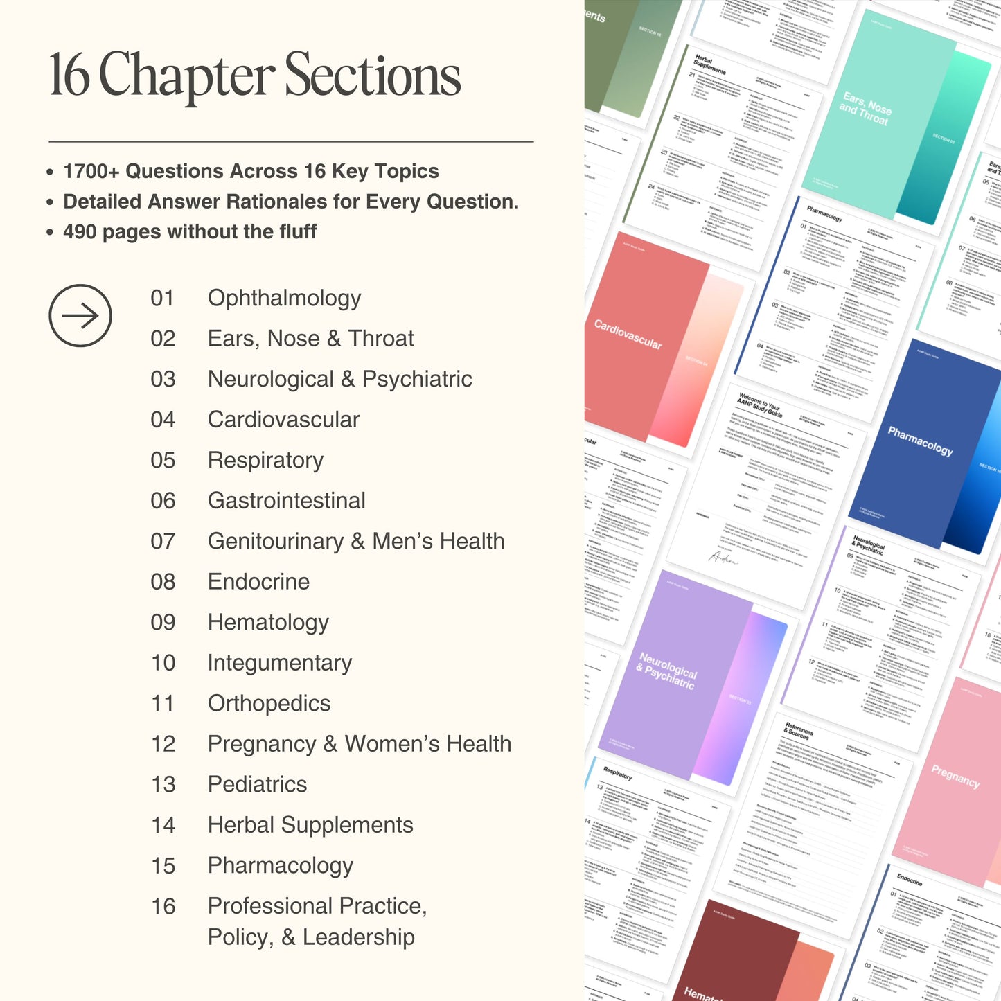 Breakdown of 16 chapter sections in the FNP question bundle by Confident Nurse – includes 1,700+ questions and answer rationales across key topics like pharmacology, cardio, and peds.