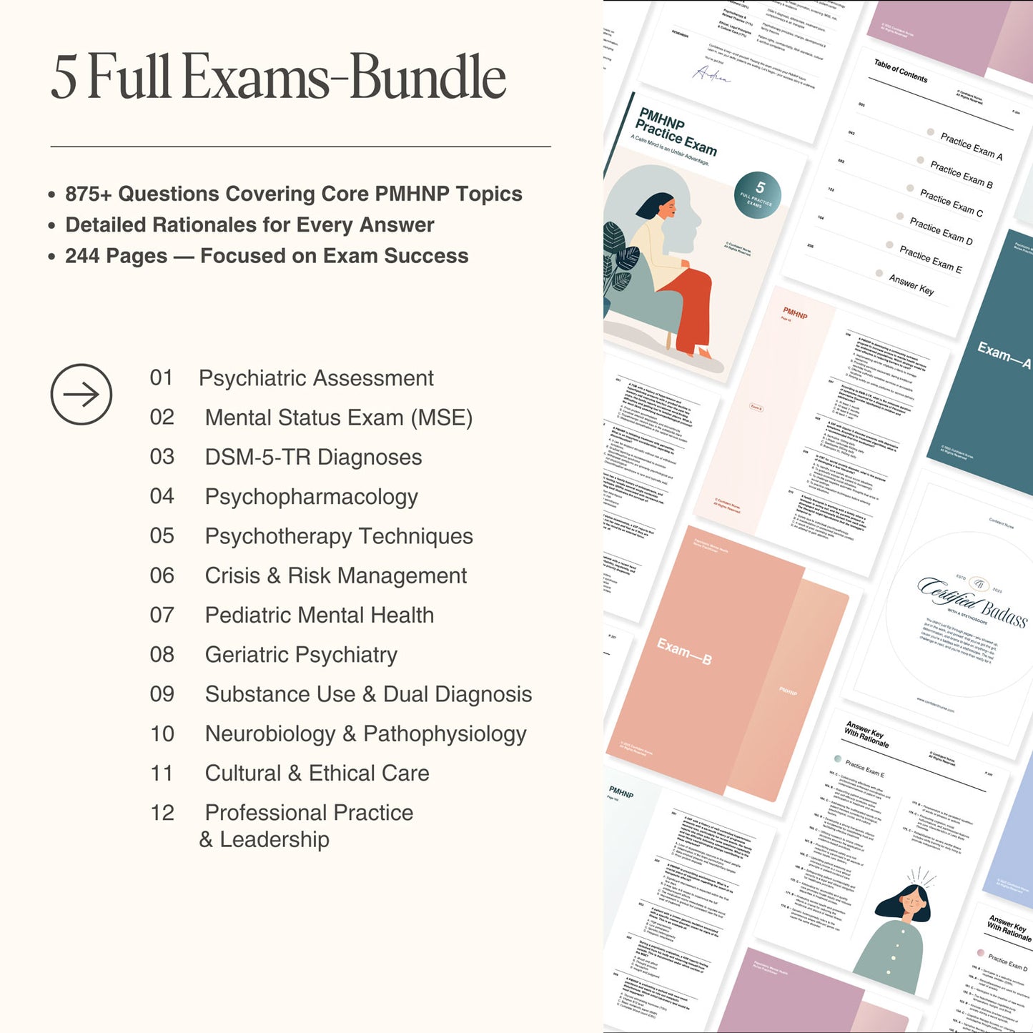 PMHNP exam bundle overview – includes 875+ questions, 244 pages, and coverage of 12 core topics like DSM-5-TR, psychopharmacology, and crisis management. Instant PDF download for nurse practitioner board prep.
